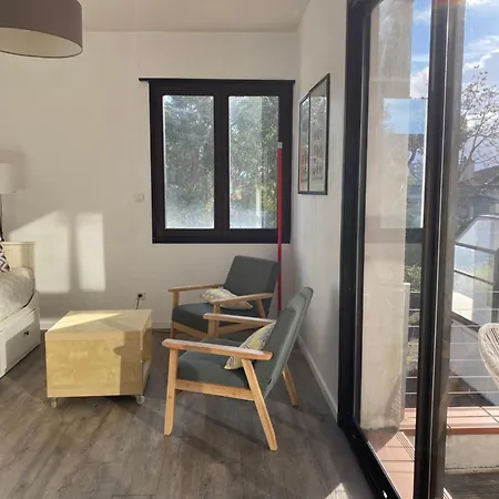 Merlin * トゥールーズ